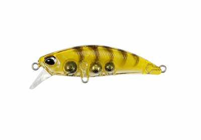 Duo Tetra Works Toto Gold Shrimp.png