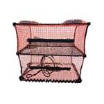 Havkrepseteine oransje