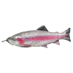 Kosefisk Regnbueørret 65cm