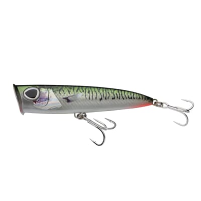 Green_Mackerel_Side.jpg