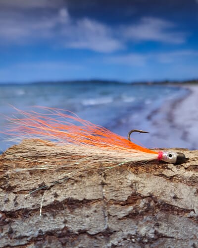 Jiggy hvit-oransje.jpg