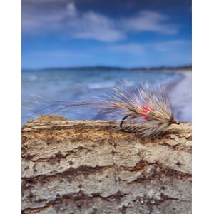 Vaskebjørn sjøørretflue #6