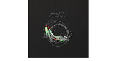 Dam seARIG 1 HERRING uv.jpg