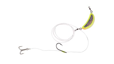 sg nordic bait fish rig.jpg