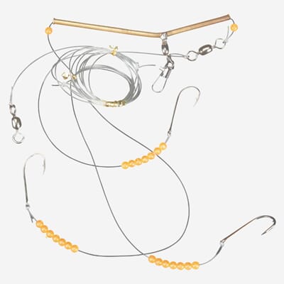 Shallow Allround 030.JPG