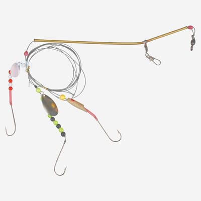 Shallow Allround 031.JPG