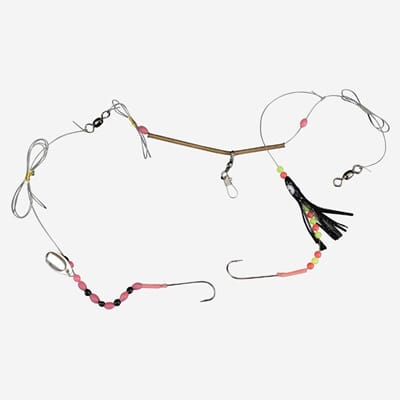 Shallow Allround 032.JPG