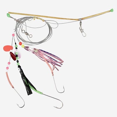 Shallow Allround 033.JPG