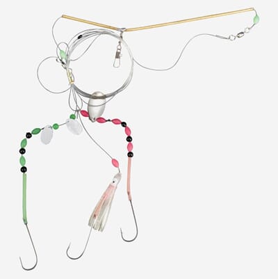 Shallow Allround 034.JPG