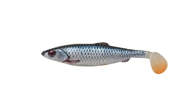 SG LB herring roach.jpg