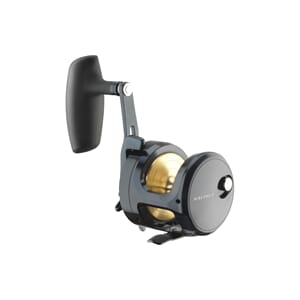 Daiwa Saltiga 24 (G) 15