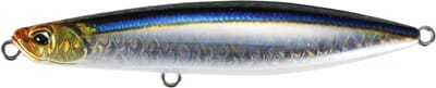 Blackgear Sardine.jpg