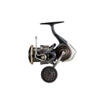 Daiwa 22 Caldia SW