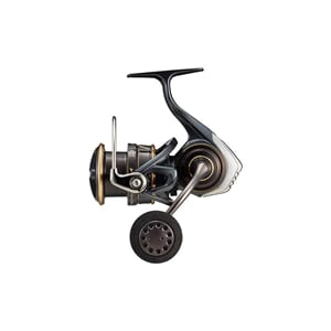 Daiwa 22 Caldia SW