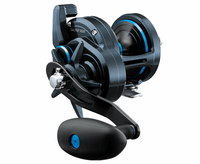 Daiwa Saltist 25 15J.PNG