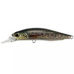 DUO Realis Rozante 77SP Brown Trout ND