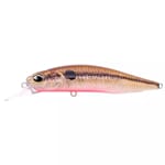DUO Realis Rozante 77SP (PI) Solan