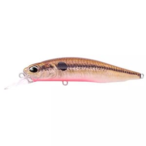 DUO Realis Rozante 77SP (PI) Solan