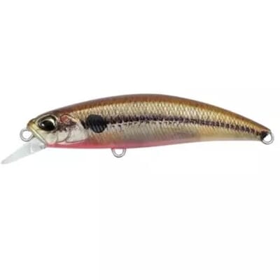 DUO-Spearhead-Ryuki-60S-Solan-Ghost-416x416.jpg