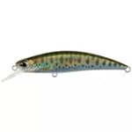 DUO Spearhead Ryuki Yamame ND II