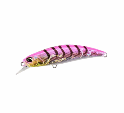 Duo Spearhead Ryuki Pink Gigo.png