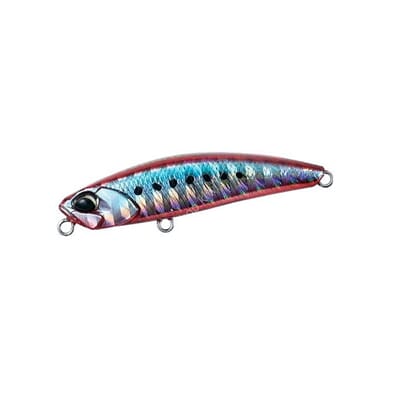 Duo Tetra Works Yurameki Red Sardine.jpeg