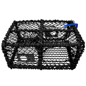 Krabbe- og hummerteine med flat topp