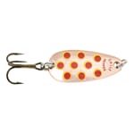 Remen Møreungen Chili CYR