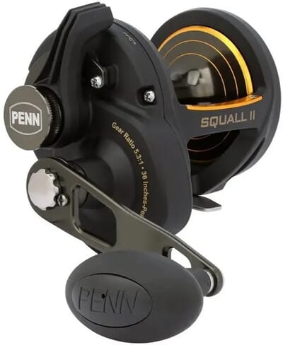Penn Squall II.jpg