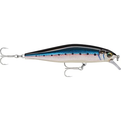 Rapala Airboss 100 Blue Sardine.jpg