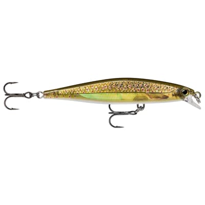 Rapala Shadow Rap Live Trout.jpg