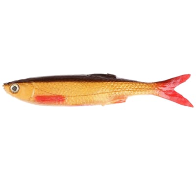 rudd minnow.jpg