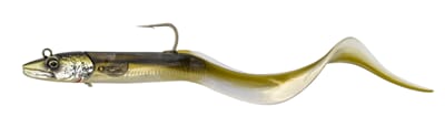 SG Conger Eel Conger.jpg