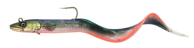 SG Conger Eel Firebelly.jpg