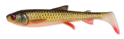 SG Whitefish Shad Dirty Roach.jpg