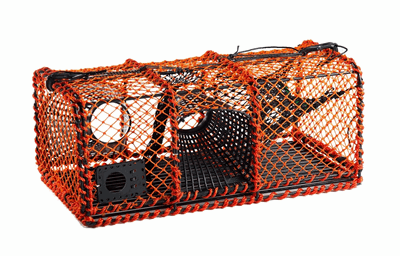 Skotteteine oransje.PNG