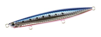 Gira Masume Sardine.jpg