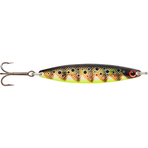 Remen Møresilda Holo Trout Brown Trout