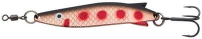 toby lf trout.JPG