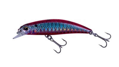 Duo spearhead Red mullet.jpg