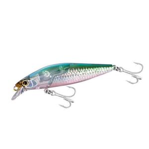 Shimano Silent  Assassin Flashboost Anchovy 80mm 12g