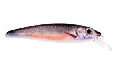 Prey Target Artic Char.jpg