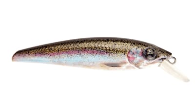 prey target rainbow trout.jpg