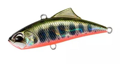Vib yamame red belly.JPG