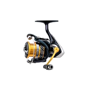 Daiwa 19 Revros LT