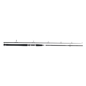 Daiwa Seahunter Jig 6' 100-250g