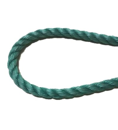 601 Danline_1.jpg
