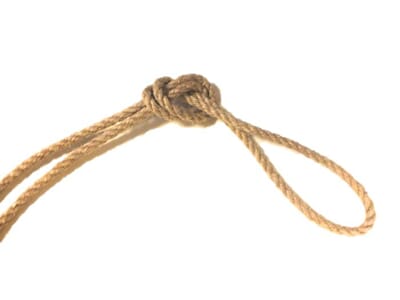 613 Hamp.jpg